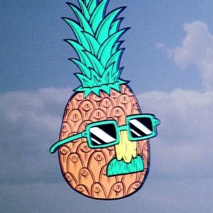 Meet your Posher, Evan